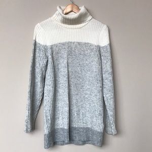 Banana Republic Turtleneck Sweater